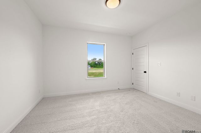37253 Buckmeadow Avenue, Prairieville, LA 70769