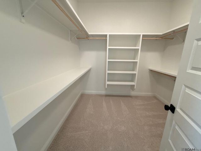 37253 Buckmeadow Avenue, Prairieville, LA 70769