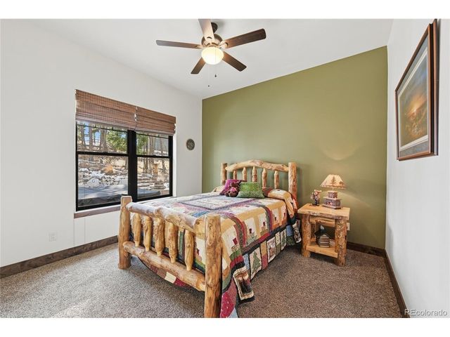 1372 Kenosha Dr, Larkspur, CO 80118