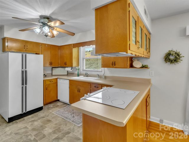 250 Reeves Cove Road, Candler, NC 28715
