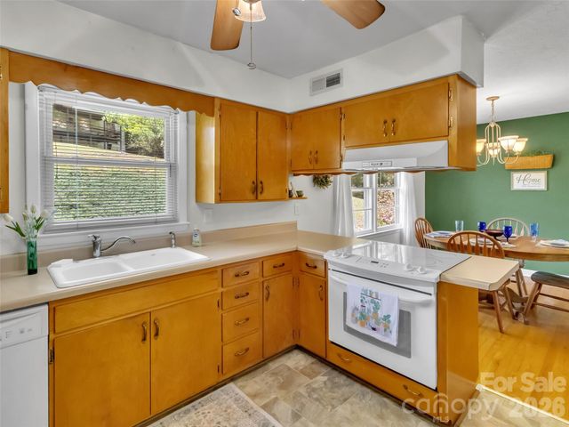 250 Reeves Cove Road, Candler, NC 28715