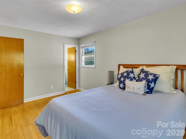 250 Reeves Cove Road, Candler, NC 28715