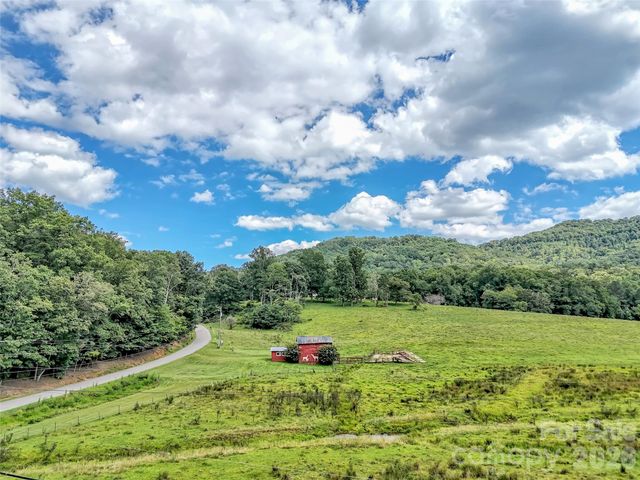 250 Reeves Cove Road, Candler, NC 28715