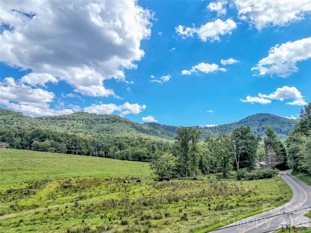 250 Reeves Cove Road, Candler, NC 28715