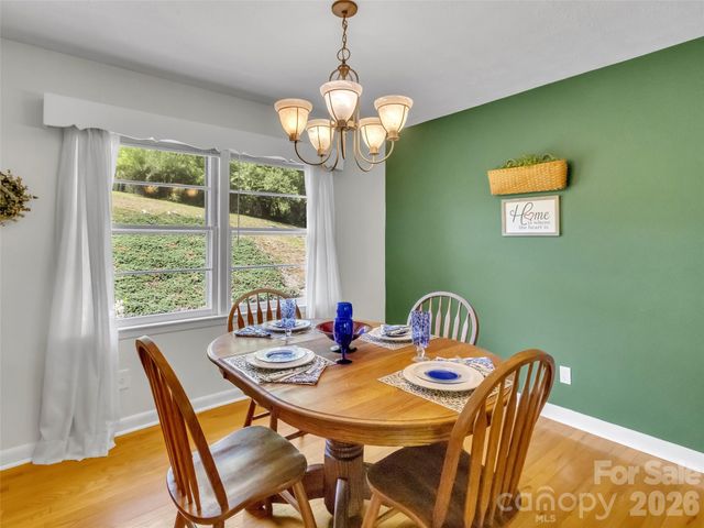 250 Reeves Cove Road, Candler, NC 28715