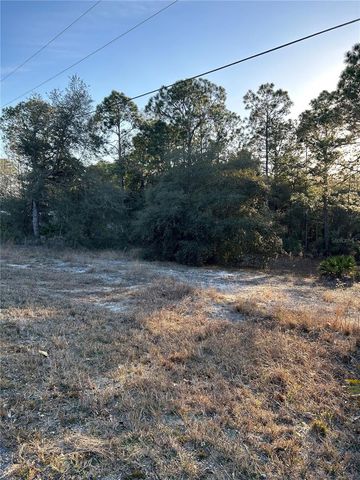 SW SOUTH WIND COURT, Dunnellon, FL 34431