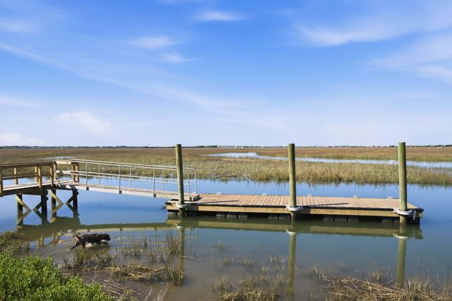 1499 Tomato Farm Circle, Mount Pleasant, SC 29464