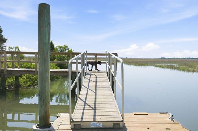 1499 Tomato Farm Circle, Mount Pleasant, SC 29464