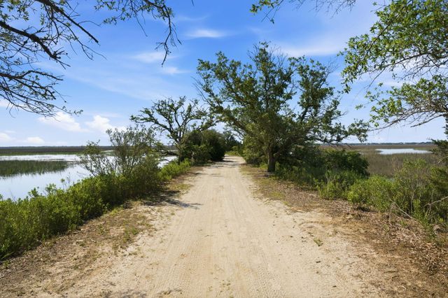 1499 Tomato Farm Circle, Mount Pleasant, SC 29464