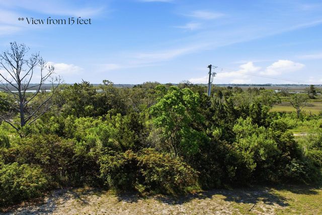 1499 Tomato Farm Circle, Mount Pleasant, SC 29464