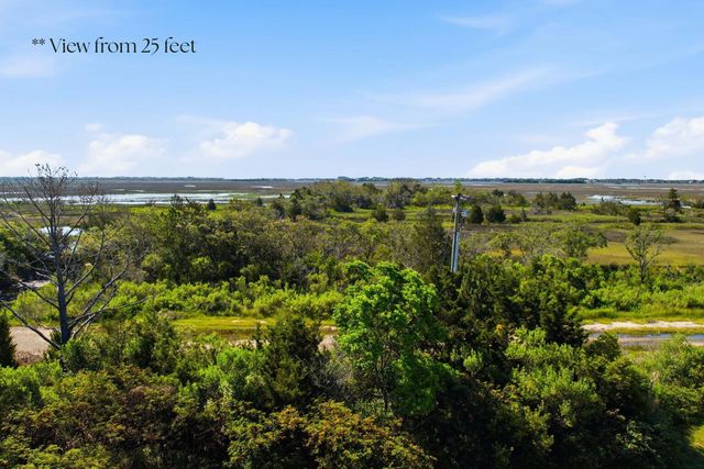 1499 Tomato Farm Circle, Mount Pleasant, SC 29464