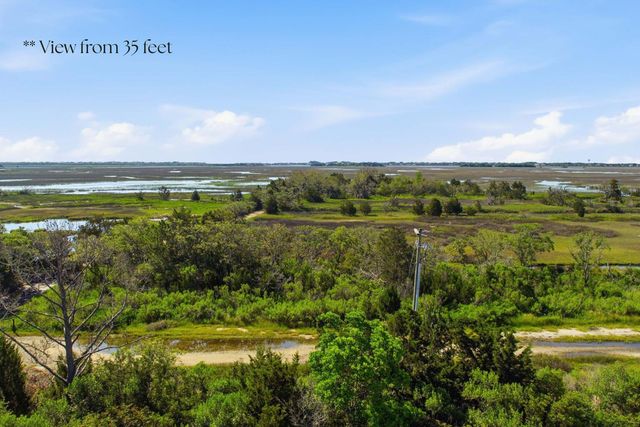 1499 Tomato Farm Circle, Mount Pleasant, SC 29464