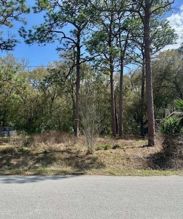Image 1 of property listing at TBD SE 99TH TERRACE, Belleview, FL 34420