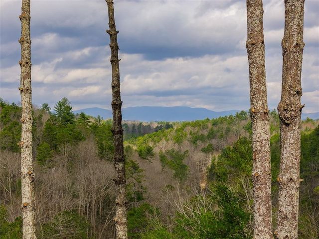 121 Indian Lane, Ellijay, GA 30540