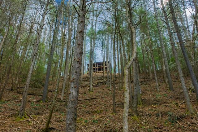 121 Indian Lane, Ellijay, GA 30540
