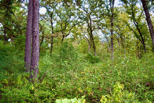 TBA County Road 114, Centerville, TX 75833