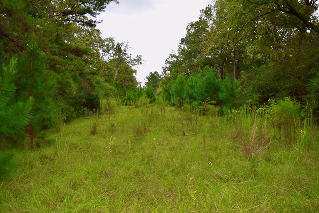 TBA County Road 114, Centerville, TX 75833