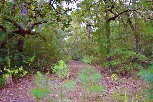 TBA County Road 114, Centerville, TX 75833