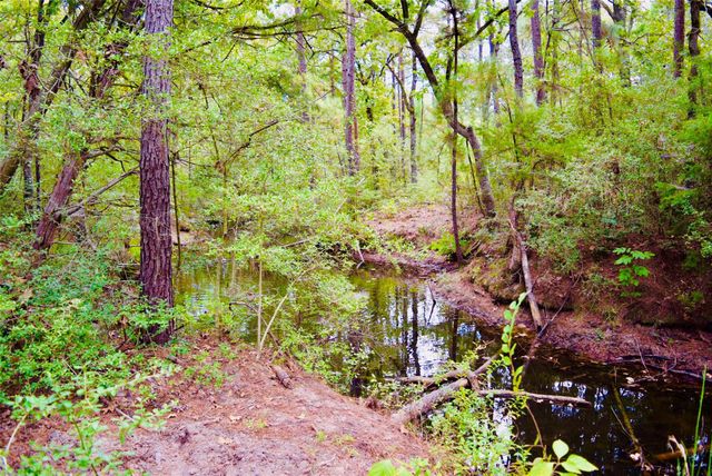 TBA County Road 114, Centerville, TX 75833