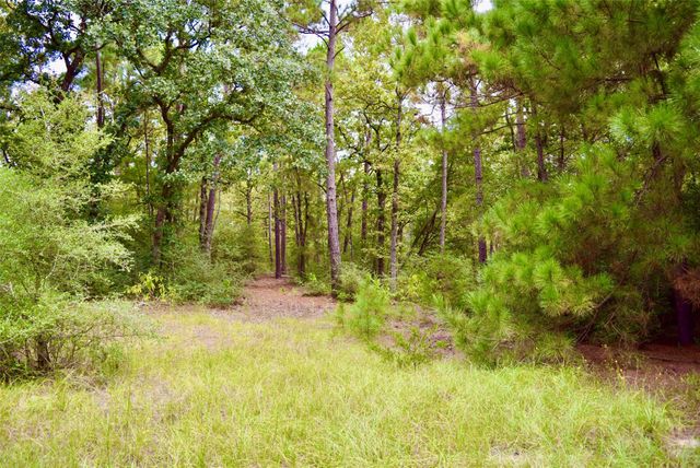 TBA County Road 114, Centerville, TX 75833