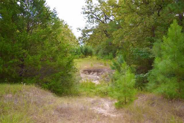 TBA County Road 114, Centerville, TX 75833