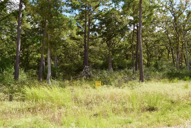 TBA County Road 114, Centerville, TX 75833