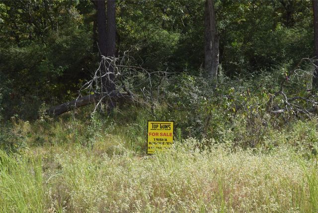 TBA County Road 114, Centerville, TX 75833