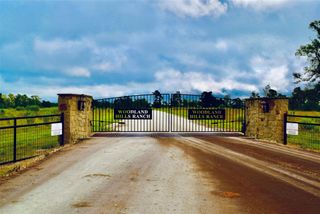 TBA County Road 114, Centerville, TX 75833