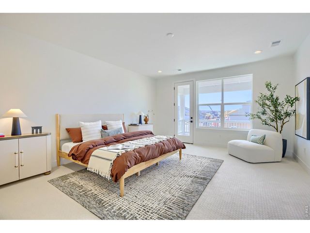 4111 Nina Ct, Timnath, CO 80547