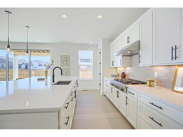 4111 Nina Ct, Timnath, CO 80547