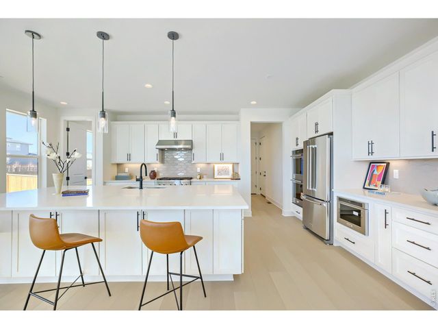 4111 Nina Ct, Timnath, CO 80547