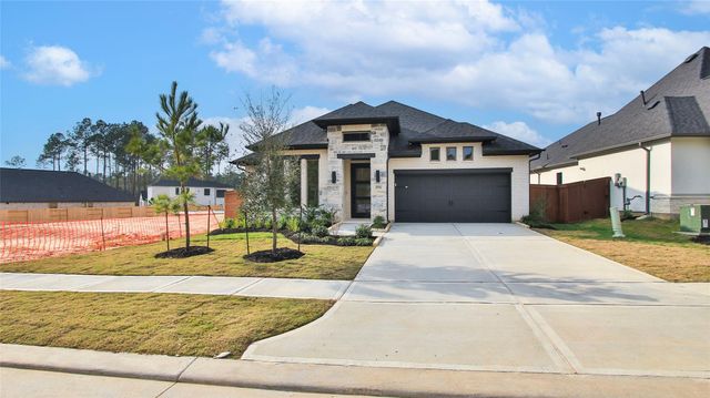 29781 Brushy Gables Drive, Magnolia, TX 77354
