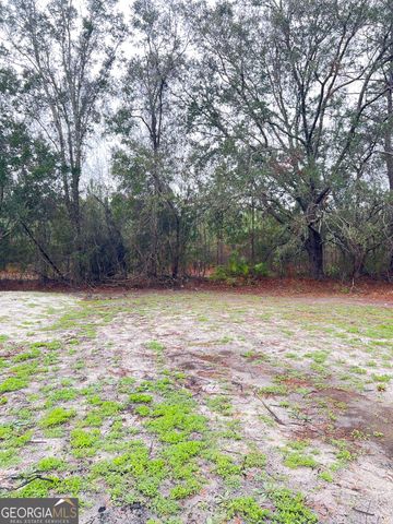 4720 Otter Creek Circle, Blackshear, GA 31516