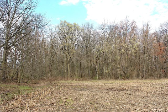 0 Carr Road, Ostrander, OH 43061