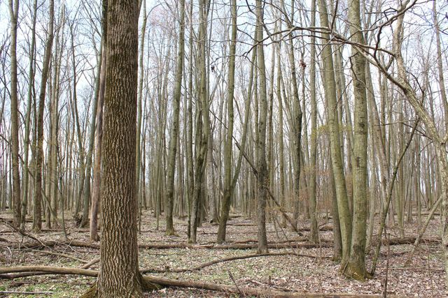0 Carr Road, Ostrander, OH 43061