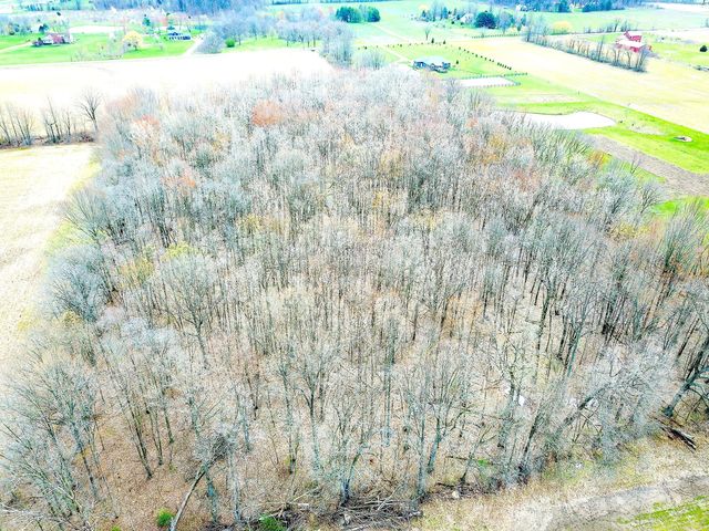 0 Carr Road, Ostrander, OH 43061