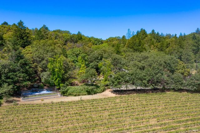 1275 Summit Lake Dr, Angwin, CA 94508