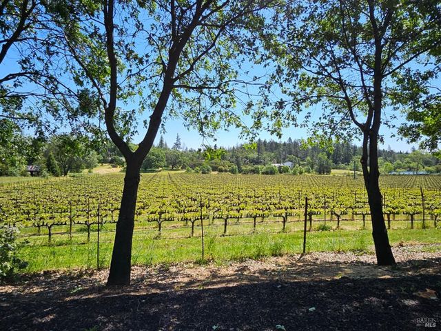 1275 Summit Lake Dr, Angwin, CA 94508