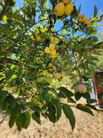 1275 Summit Lake Dr, Angwin, CA 94508