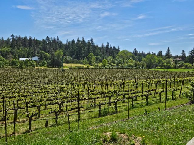 1275 Summit Lake Dr, Angwin, CA 94508