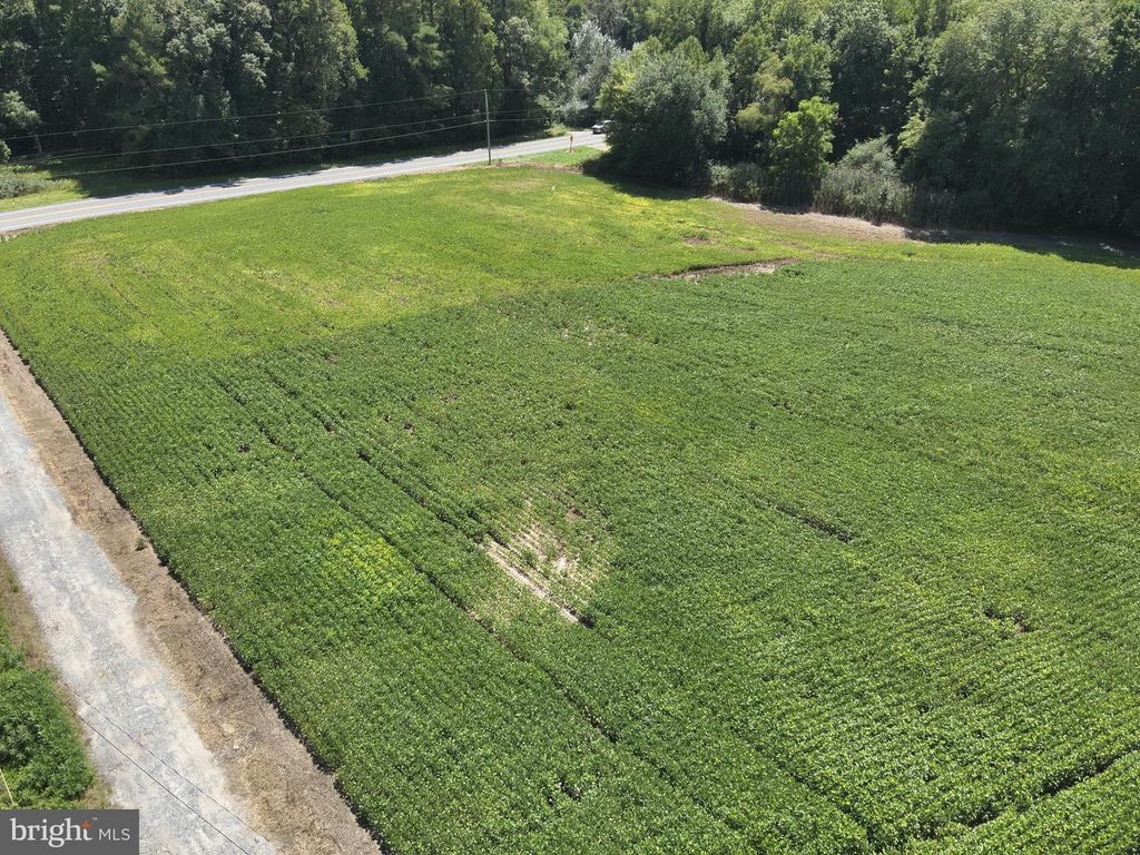RT 12, Snow Hill, MD 21863