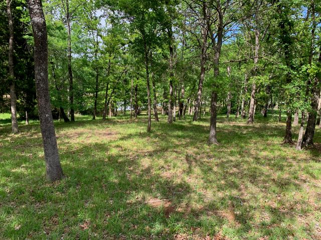TBD Esquire Estates Road, Mabank, TX 75156