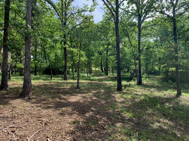 TBD Esquire Estates Road, Mabank, TX 75156