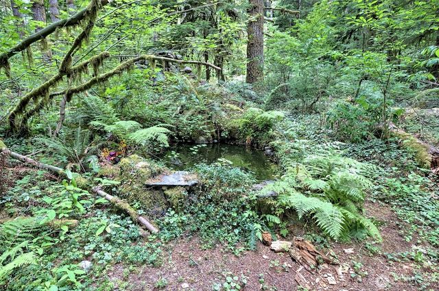 832 N Lake Cushman Road, Hoodsport, WA 98548