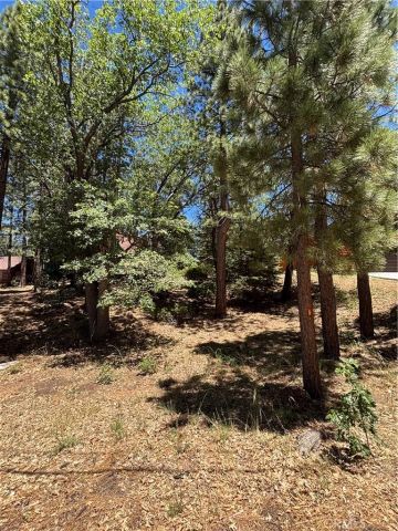 815 Conklin, Big Bear Lake, CA 92315