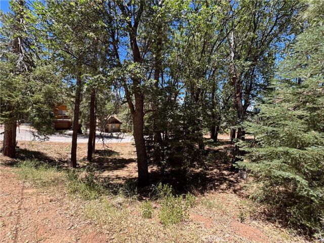 815 Conklin, Big Bear Lake, CA 92315