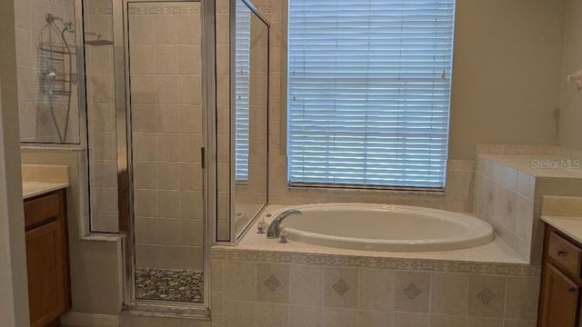 1447 EMERALD HILL WAY, Valrico, FL 33594