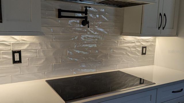 1447 EMERALD HILL WAY, Valrico, FL 33594