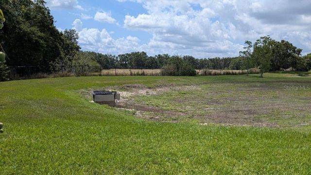 1447 EMERALD HILL WAY, Valrico, FL 33594