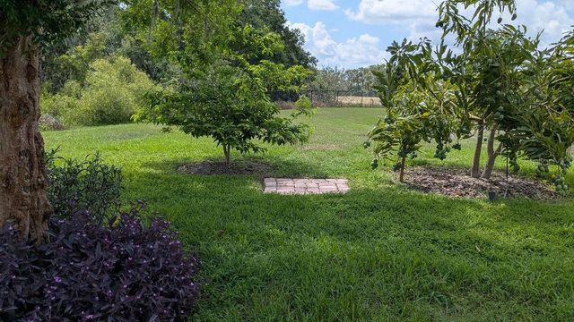1447 EMERALD HILL WAY, Valrico, FL 33594